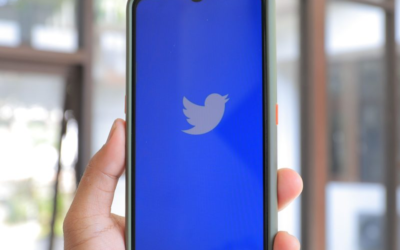 X (Twitter) Growth...